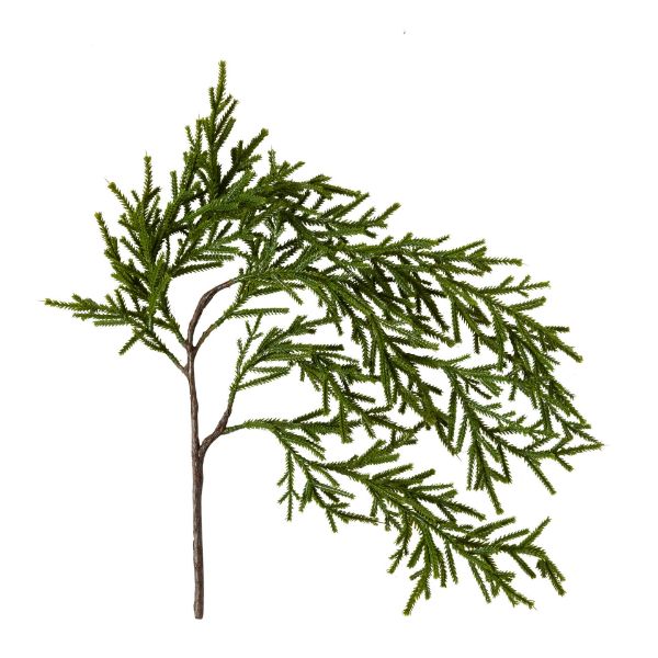 Weeping Pencil Pine Spray